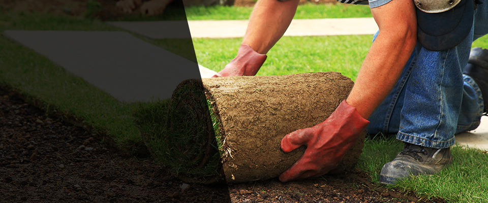 Chicago Ridge Landscapers